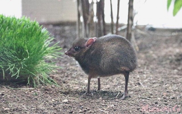 Подборка фотографий о природе и не только