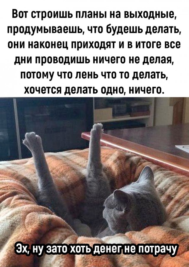 Так себе картинки 30.05.22