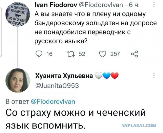 Пандемия съехавших крыш. Разновидности болезни. Россия и мир. Часть 36
