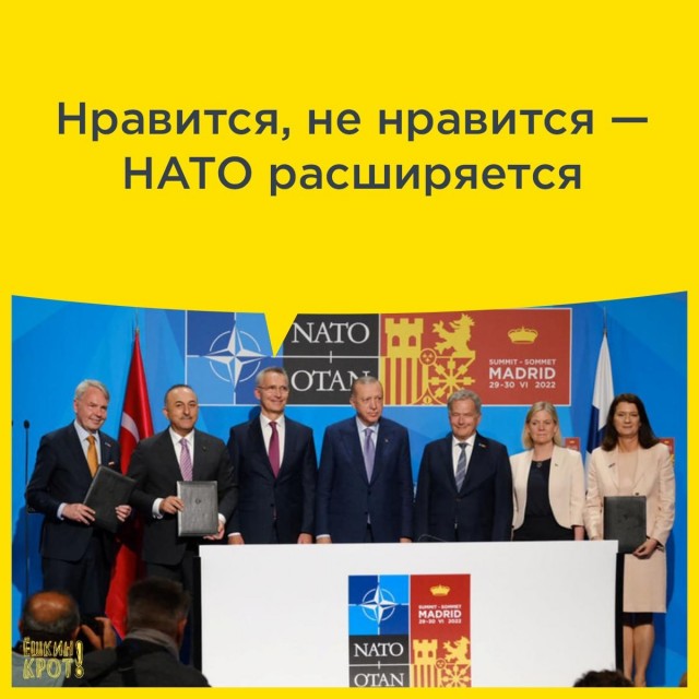 Пандемия съехавших крыш - разновидности болезни. Россия и мир. Часть 37