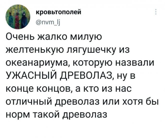 Картинки и мемы для настроения - 15