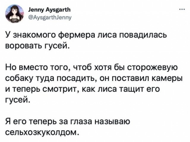 Скриншоты и комментарии из социальных сетей 17.08.22