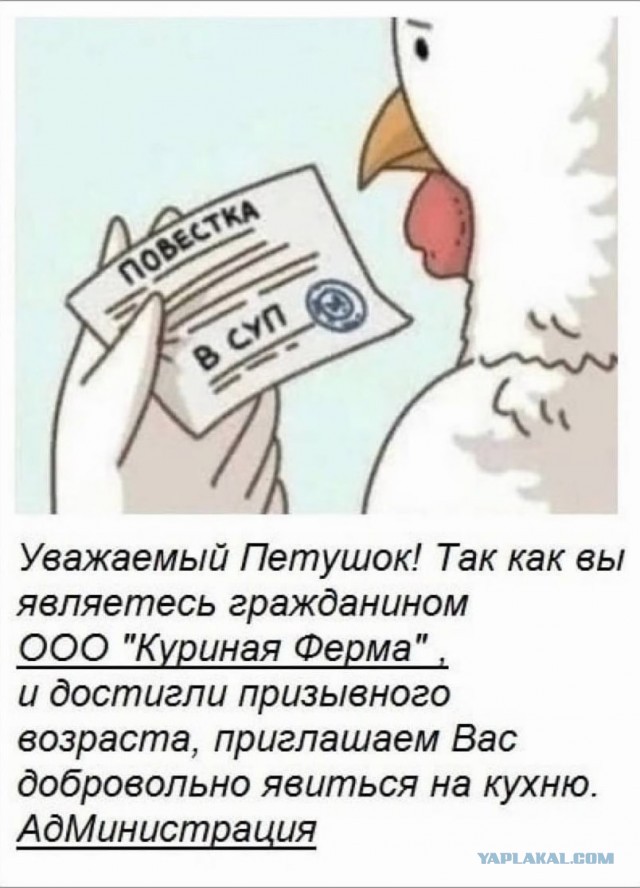 Власти Петербурга призвали "отнестись с пониманием" к "облавам" на мужчин
