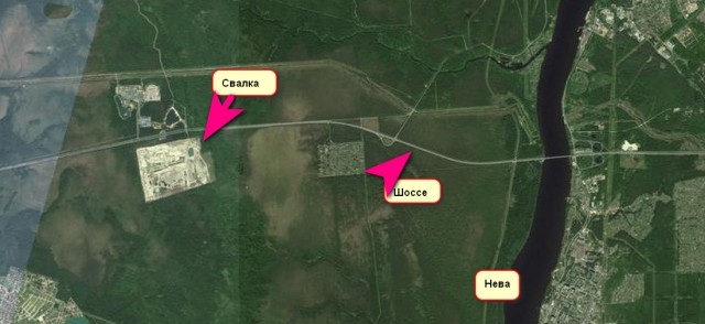 Огромная мусорная лавина сошла на свалке в Ленобласти