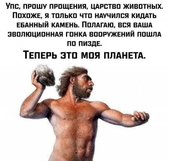 Так себе картинки 22.11.22
