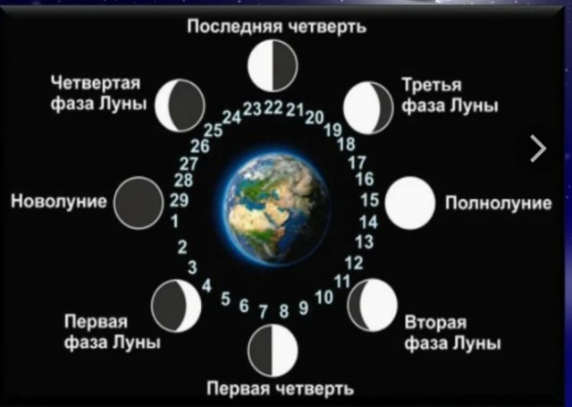 Победная поступь идиотизма по планете – том 6