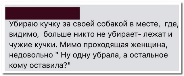 Забавные комментарии из социальных сетей (13.02.23)