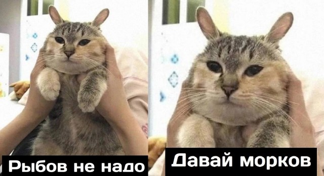 Антиквариат 21.02