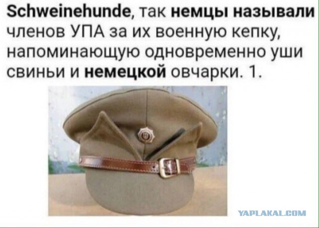 Контрнахрюк - все!
