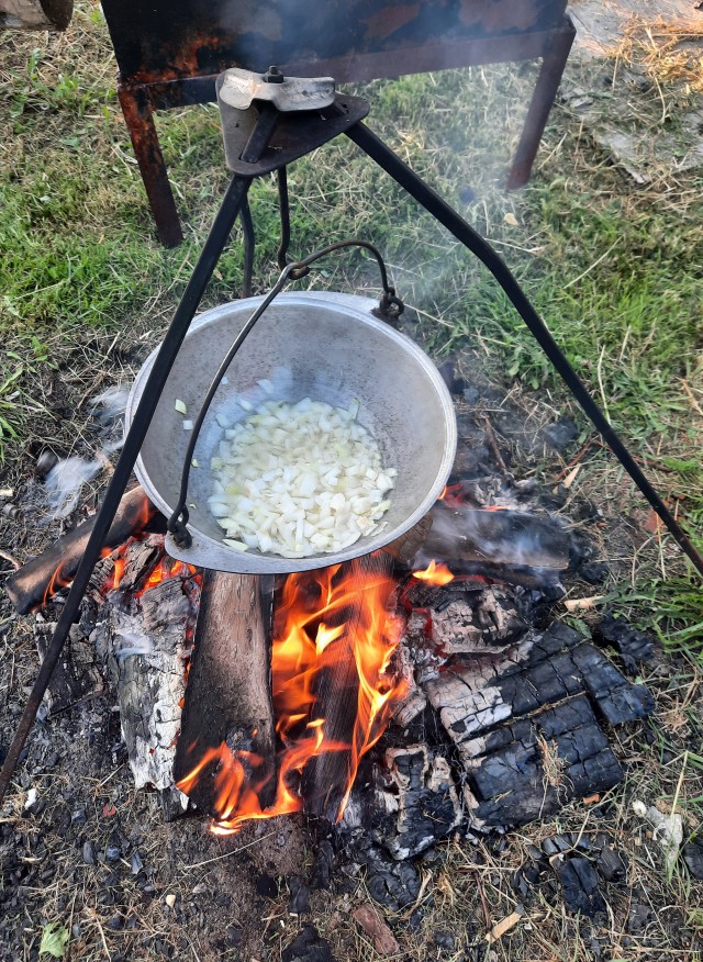 Как я в деревню сьездил