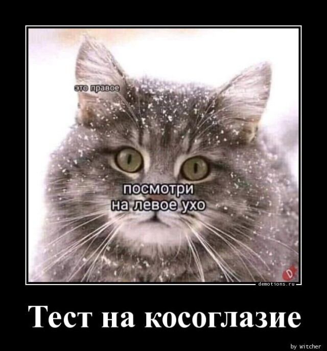 Картинки с надписями 22.07.23