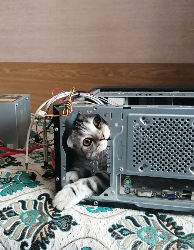Кусь