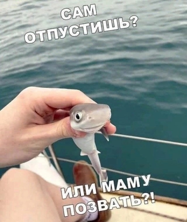 Так себе картинки 03.10.23
