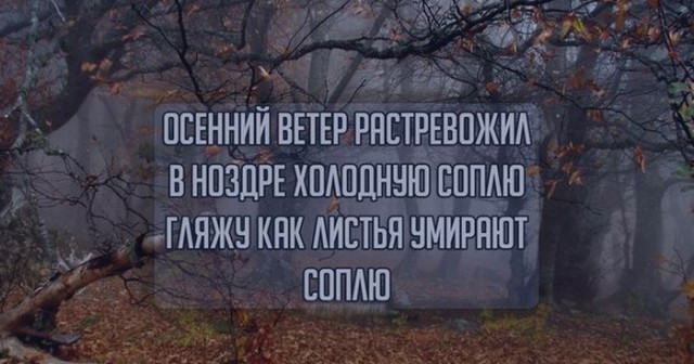 Бояны 10-ти летней выдержки