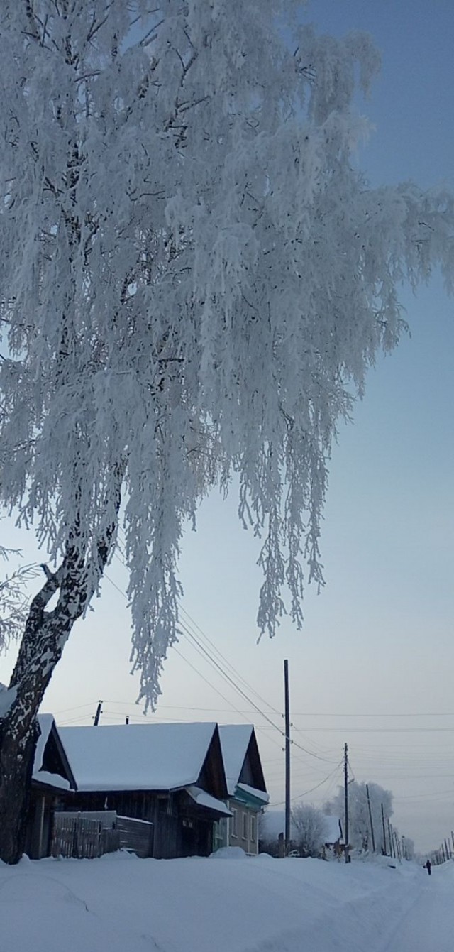 Зимняя красота
