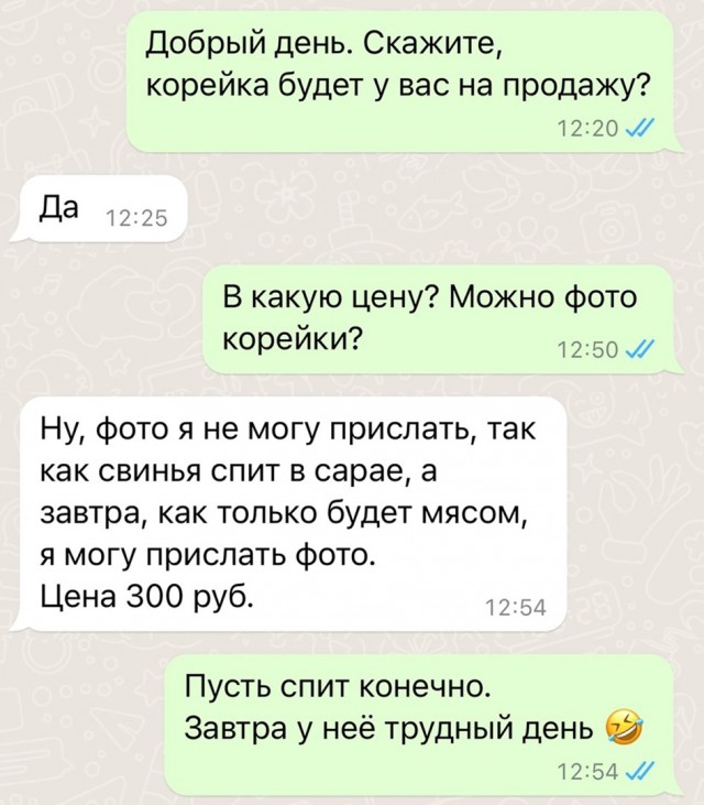 Так себе картинки 13.02.24