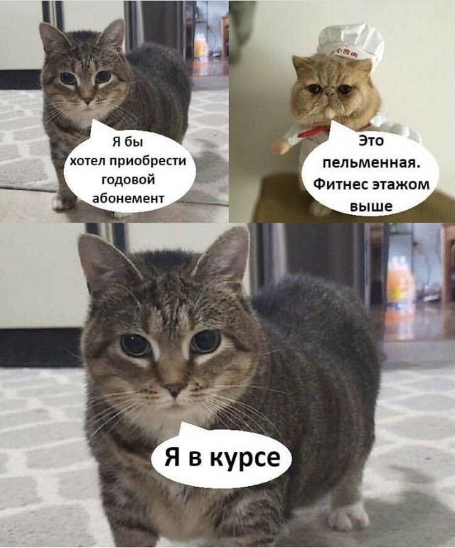 К дню пельменей