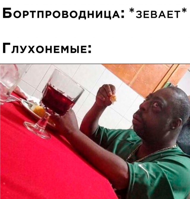 Весёлый полтишок 13.05 24