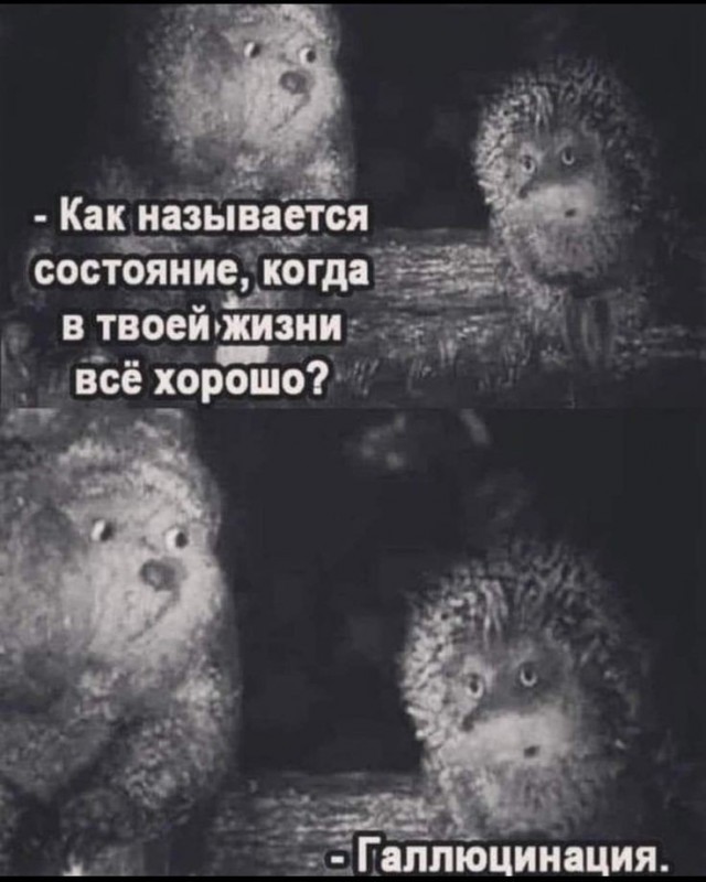 Нуштош 18.05.2024