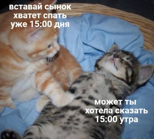 Так себе картинки 19.05.24