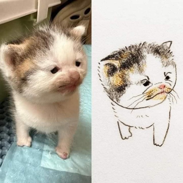 Настоящее искусство, ничего лишнего
