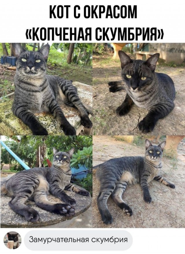 Завалялось тут случайно немного забавных картинок