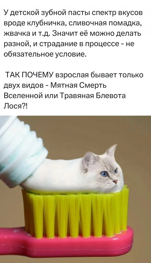 Веселые картинки к понедельнику (21.10)