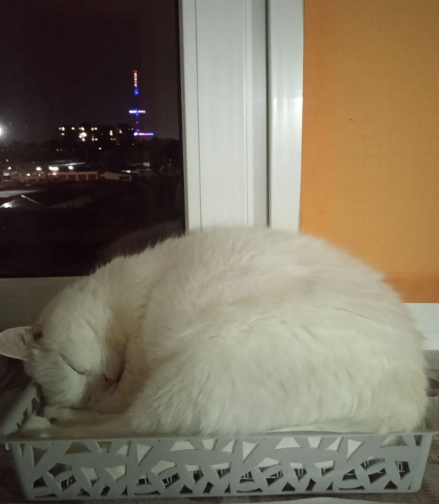 Очумелые Пёрышки