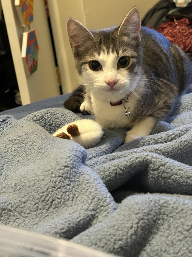 Еë хотели выбросить на мороз