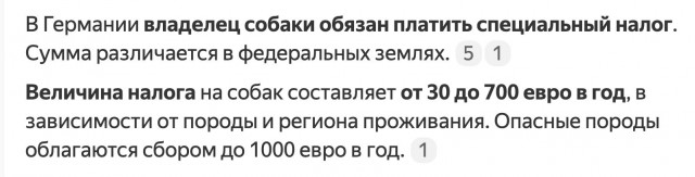 Обязательную регистрацию собак вводят в Подмосковье