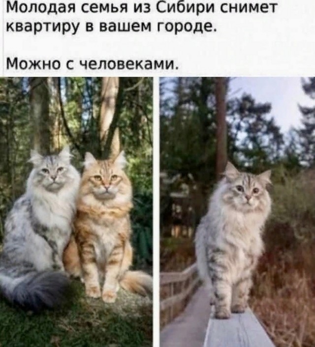 Так себе картинки 02.03.25