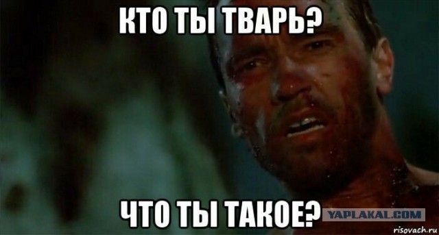 Так себе картинки 11.03.25