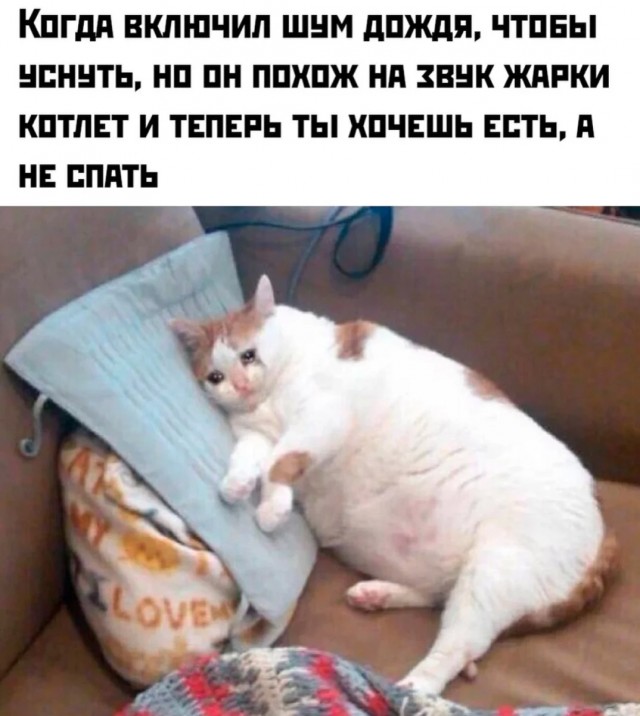 Подборка мемчиков за пол дня