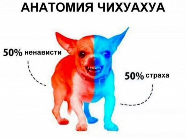 Я смог выжить!