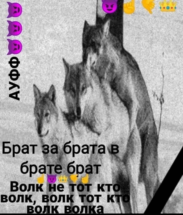 Картинки для деградации 25 (разной степени свежести)