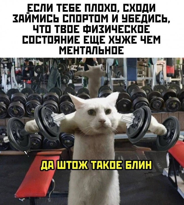 Немного картинкафф для настроения (баяны-перебаяны)