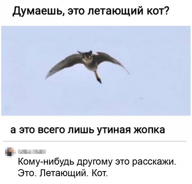 Так себе картинки 18.09.25
