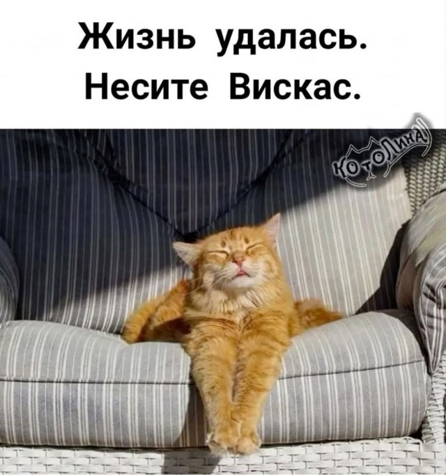 Картинки для деградации 50 (разной степени свежести)