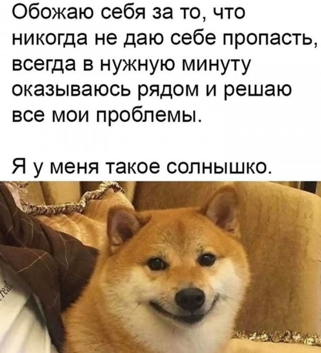 Четверговые картинки.