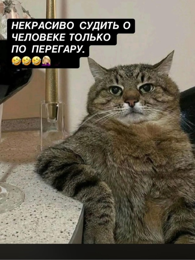 Деградация