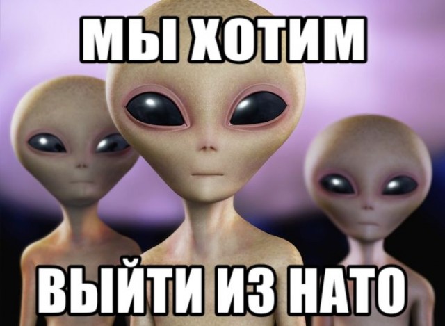 Расжижение мозга на ароматной поляне ополаскивателей для рта