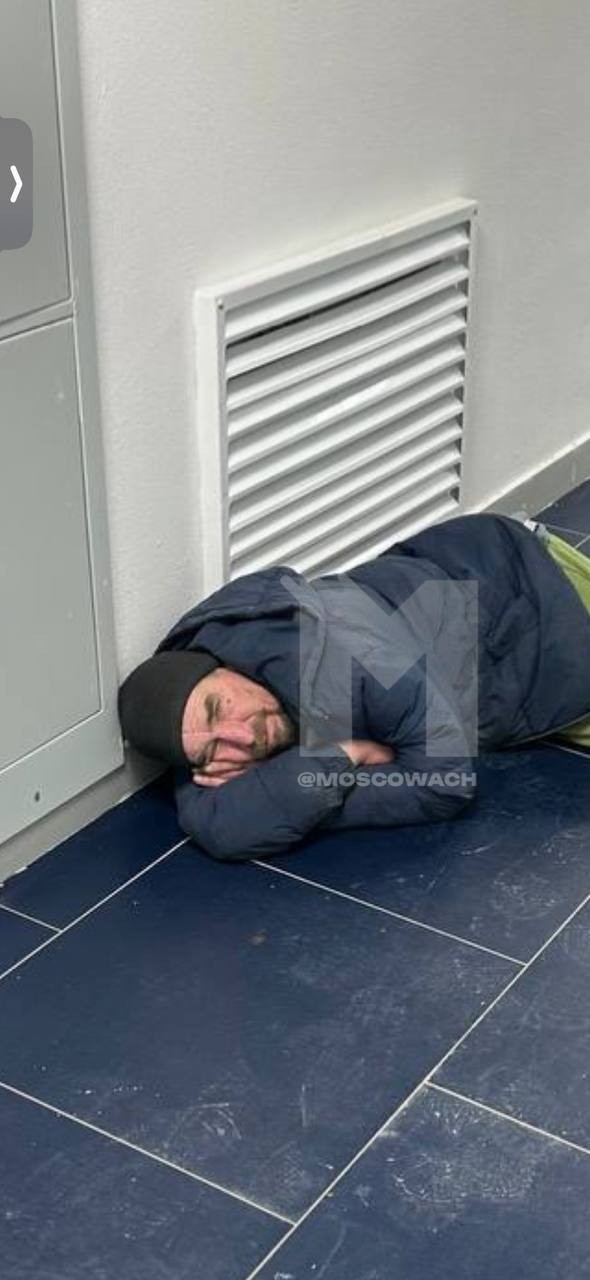 Жители многоэтажки во время морозов приютили бездомного, похожего на актёра Александра Петрова