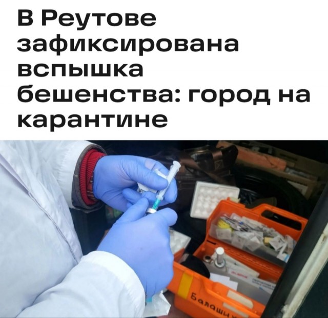 Добро пожаловать в Racoon city