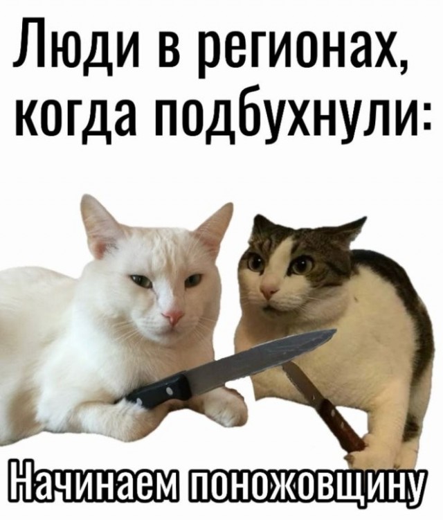 Картинки