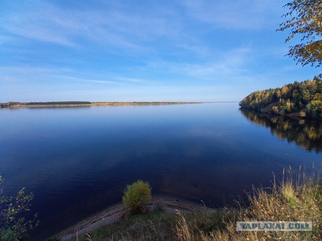 Сегодня день Волги-матушки!