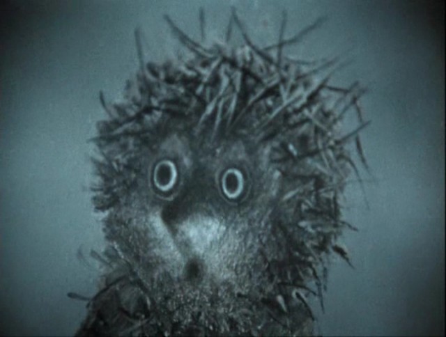 Милейшее создание