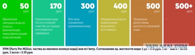 Фекальная эпидемия в Тюмени