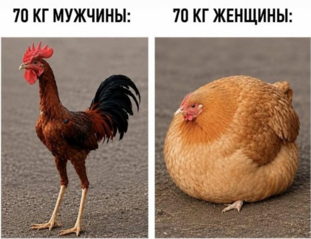Картиночки, баянчики 01 августа