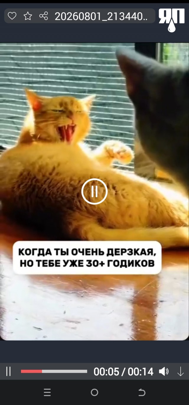 Почему?