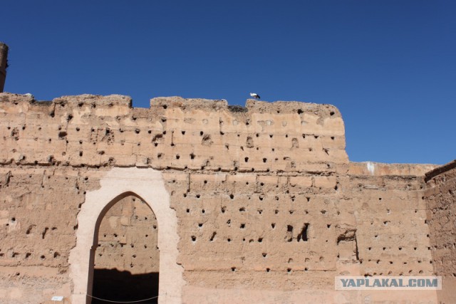 Новогодняя ночь в пустыне Сахара